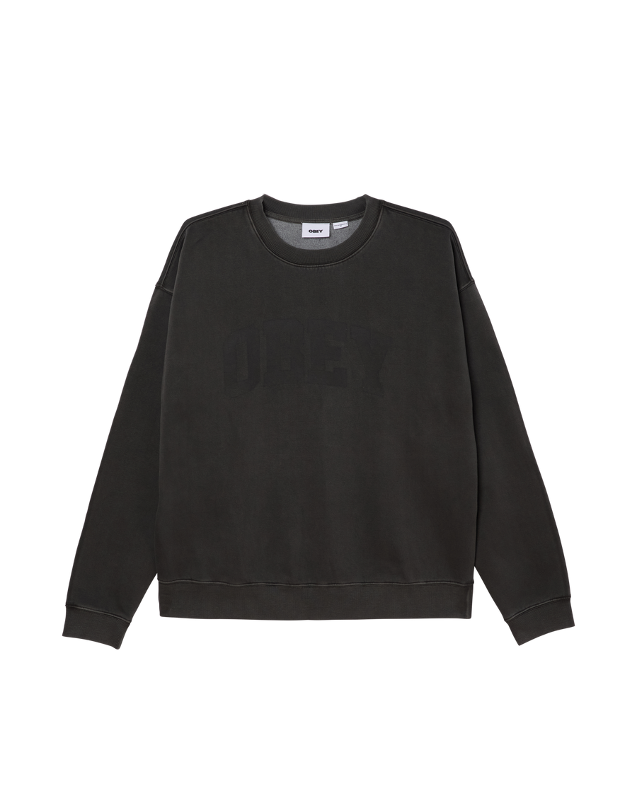 COLLEGIATE PIGMENT CREWNECK - Image 1