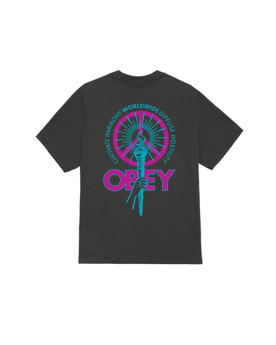 DIFFUSE HOSTILITY CLASSIC T-SHIRT - Image 1
