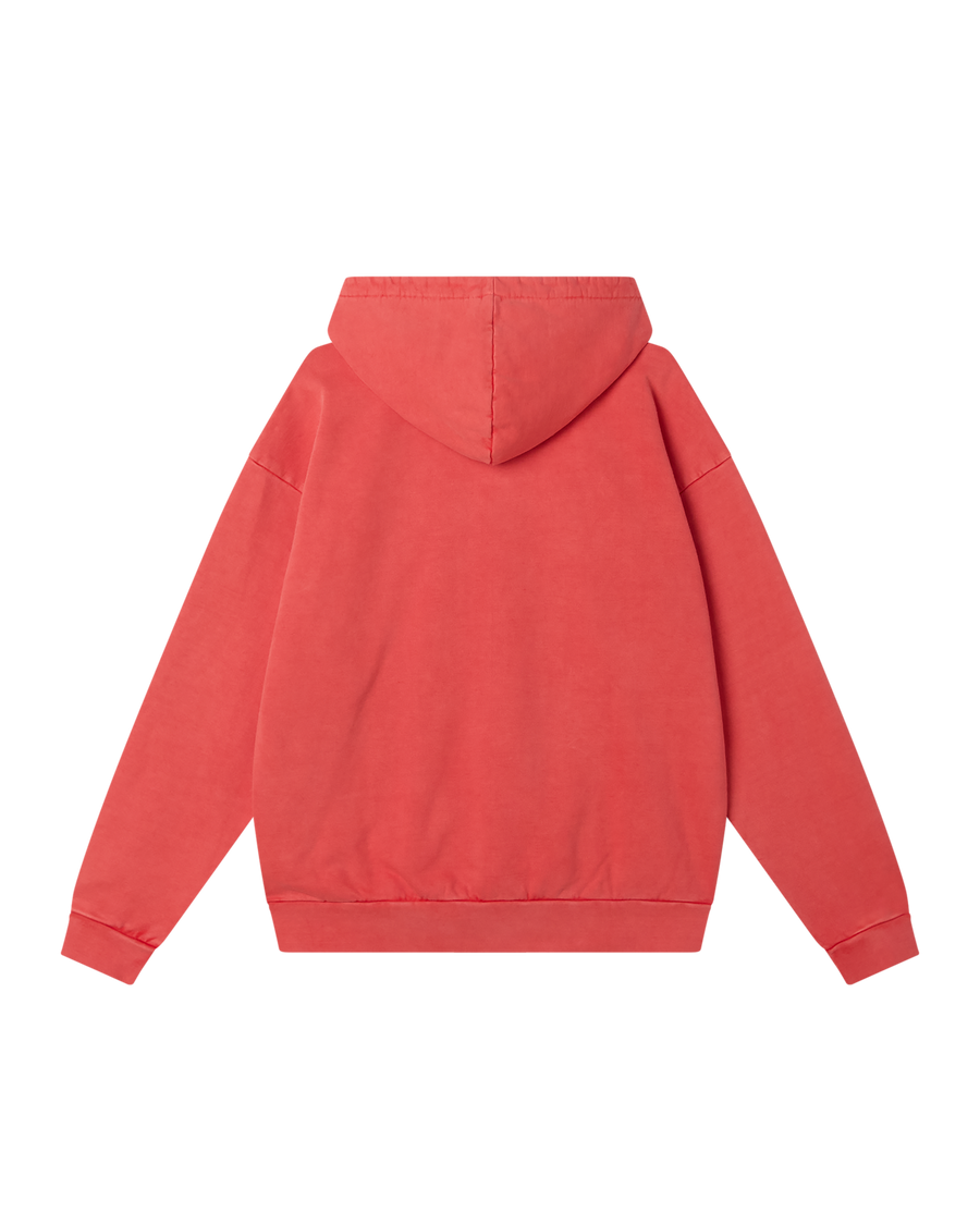 LOWERCASE PIGMENT ZIP HOOD - Image 2