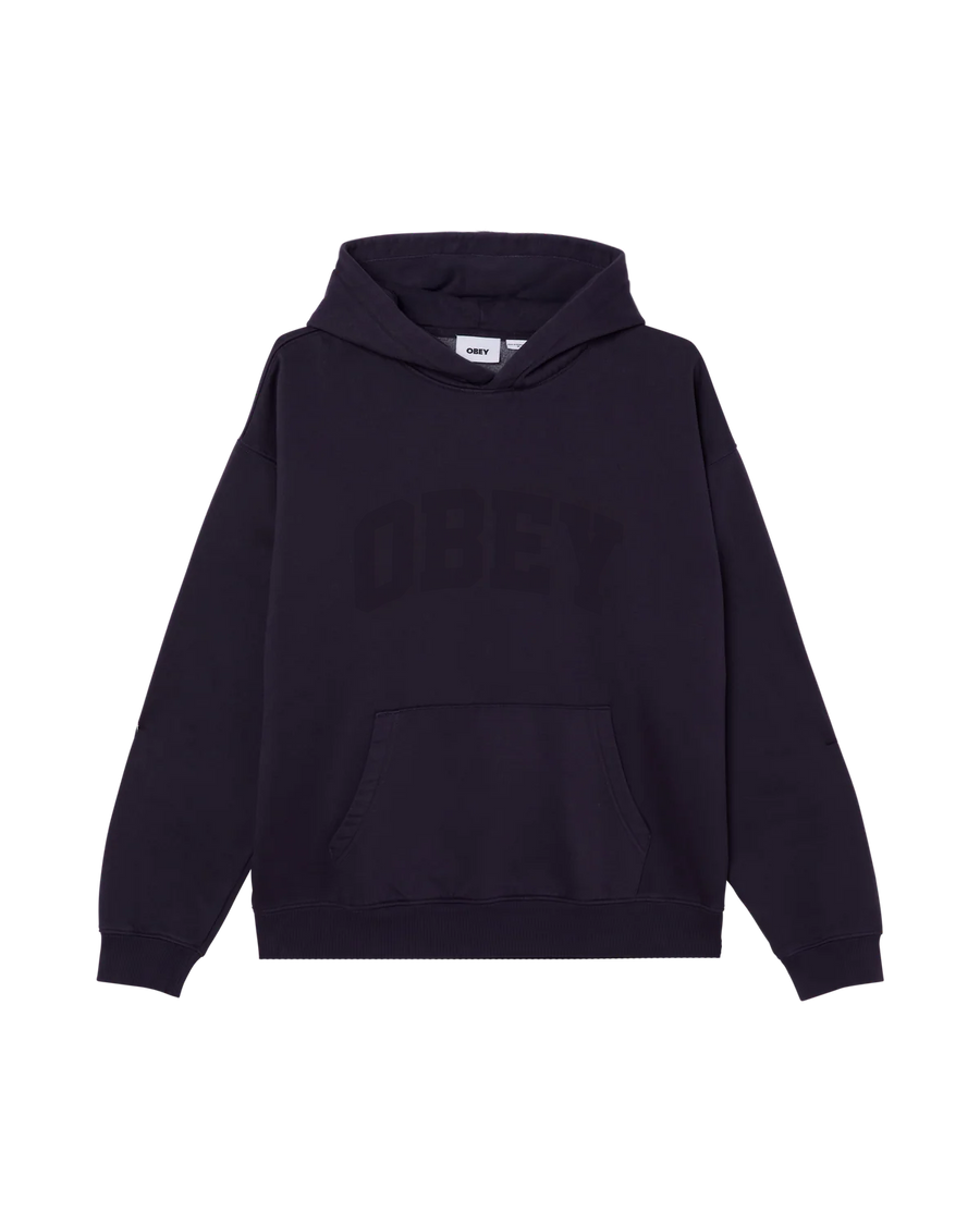 COLLEGIATE PIGMENT PULLOVER - Image 1