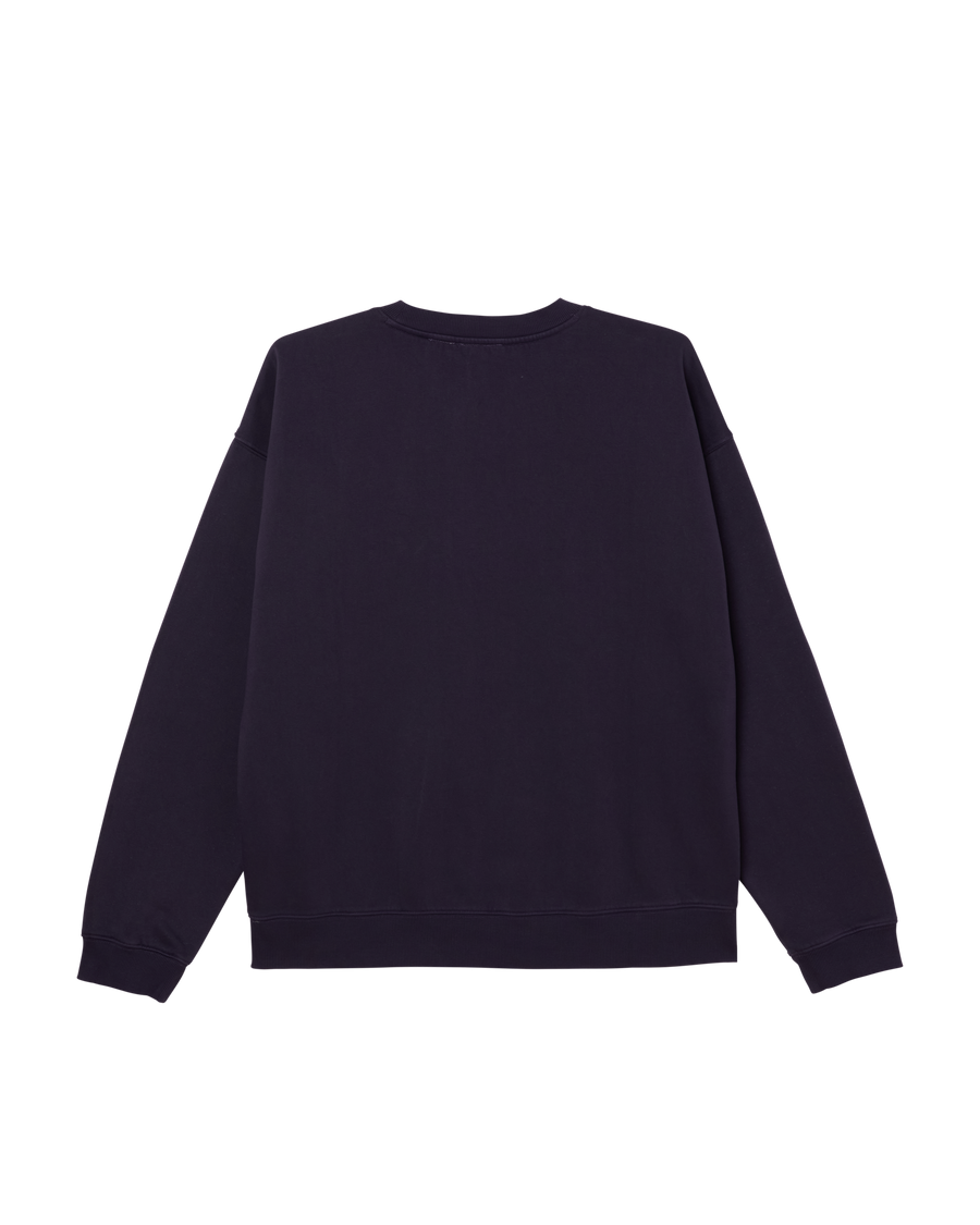COLLEGIATE PIGMENT CREWNECK - Image 2