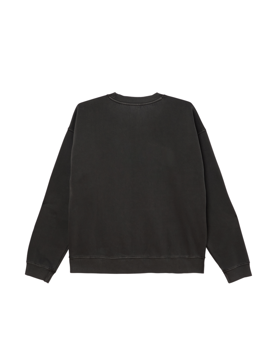 COLLEGIATE PIGMENT CREWNECK - Image 2