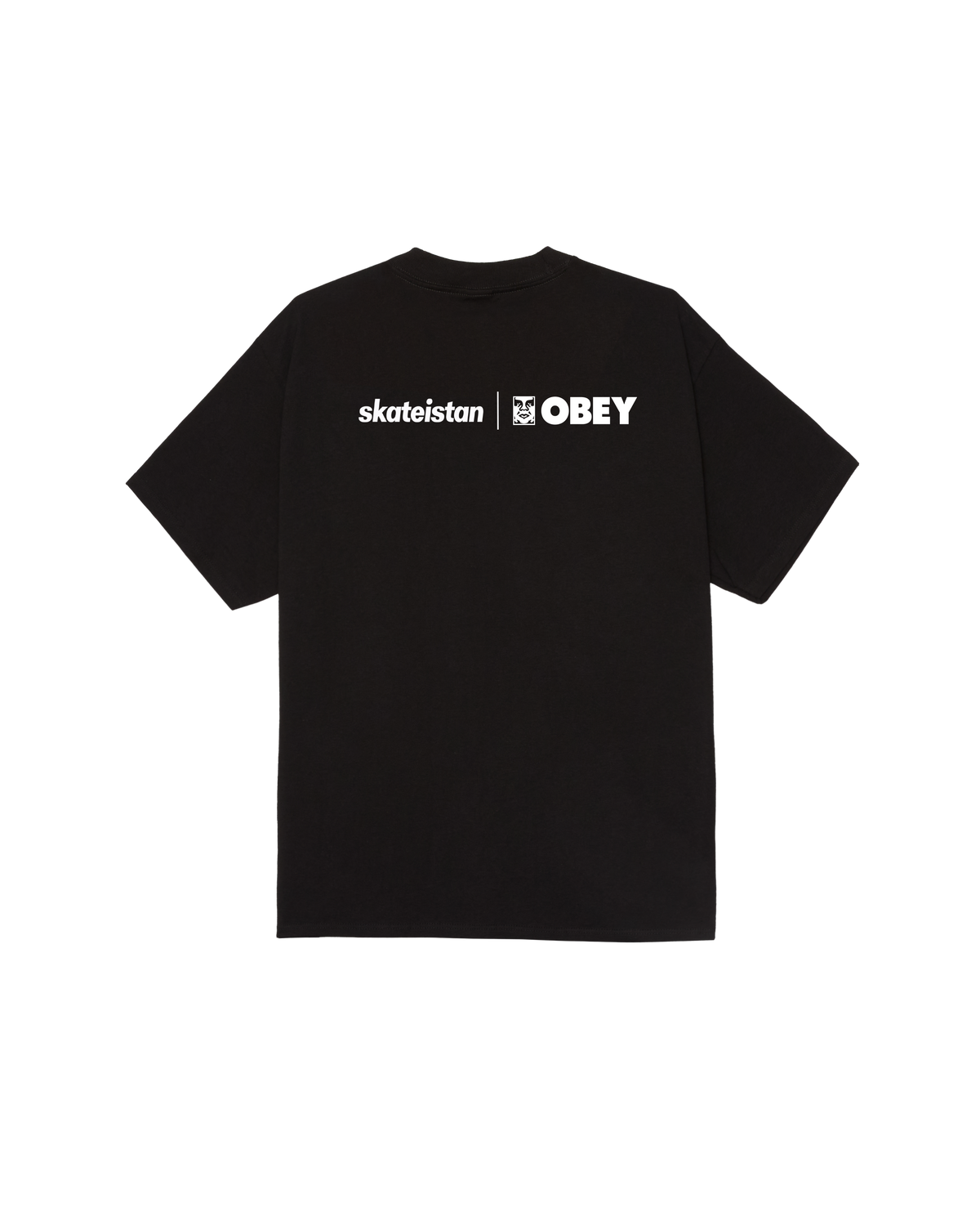 SKATEISTAN / CLASSIC T-SHIRT - Image 2