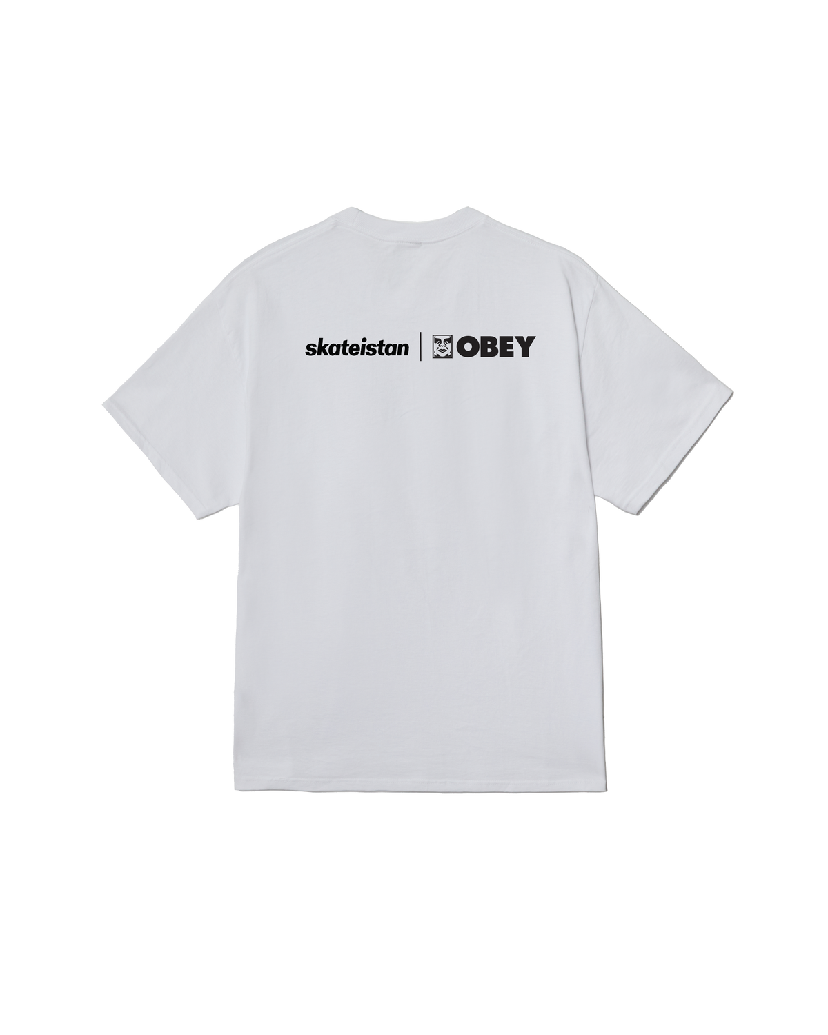 SKATEISTAN / CLASSIC T-SHIRT - Image 2