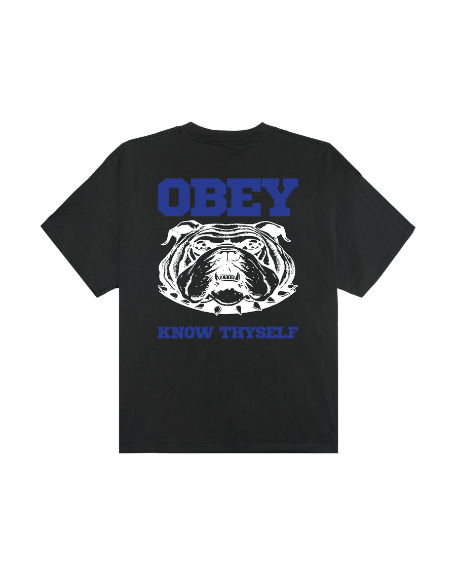 KNOW THYSELF HEAVYWEIGHT T-SHIRT - Image 1